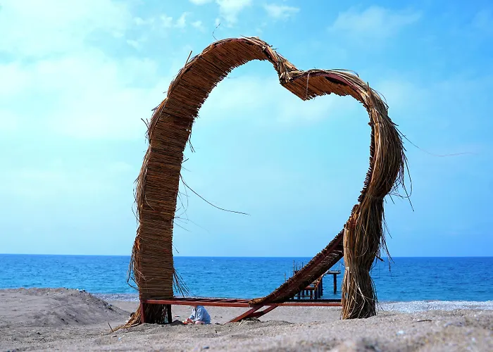 호텔 Club Aqua Plaza 알란야