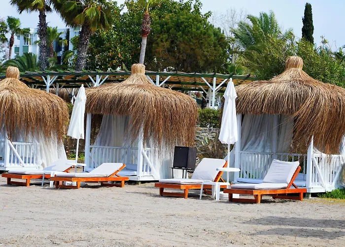 호텔 Club Aqua Plaza 4*